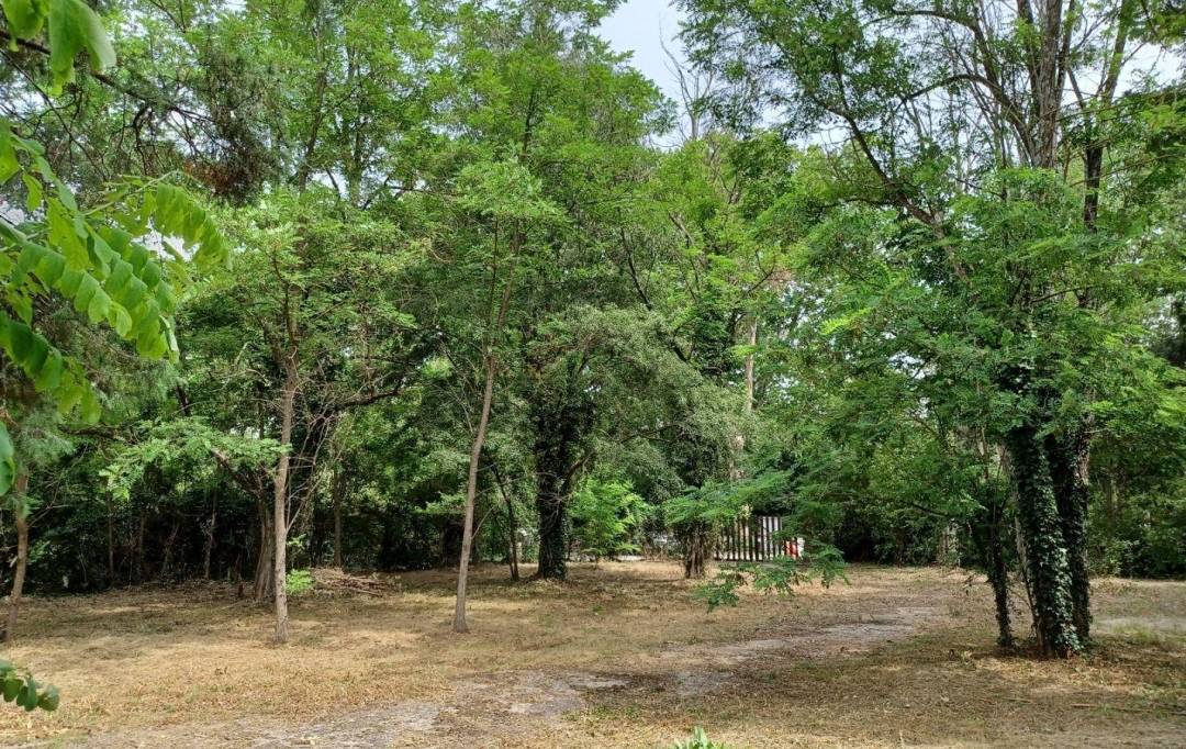CHERCHE MIDI IMMOBILIER : Terrain | UZES (30700) | 0 m2 | 95 000 € 